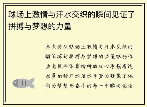球场上激情与汗水交织的瞬间见证了拼搏与梦想的力量