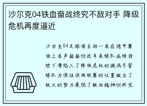 沙尔克04铁血奋战终究不敌对手 降级危机再度逼近
