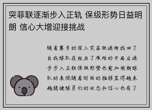 突菲联逐渐步入正轨 保级形势日益明朗 信心大增迎接挑战